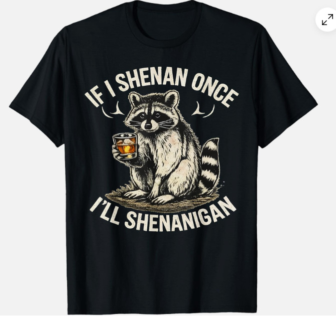 Raccoon If I Shenan Once I’ll Shenanigan Funny Unisex T-Shirt