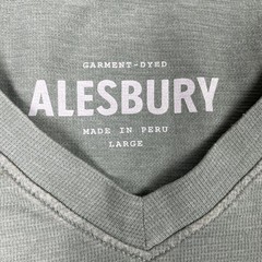 Alesbury Garment-Dyed V-Neck T-Shirt Mens Large Green Slub Short Sleeve Tee