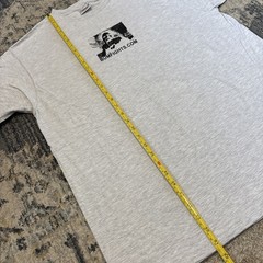Bumfights DIY Screen-printed shirt, Large Vintage Pluma Gray, Indecline