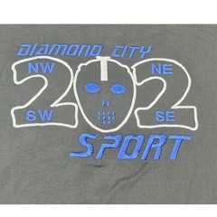 VTG Diamond City Sport 202 Men’s Long Sleeve T Shirt Size 2X Gray Graphic