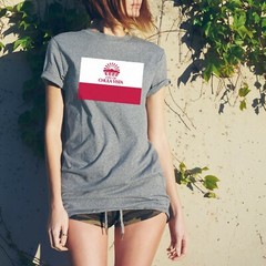 Chula Vista US City Flag – Hometown Sports Team USA T-Shirt – Sport Grey