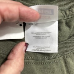 Hanes Mens Comfort T-Shirt Heavyweight 100% Cotton Plain Basic Tee 5250 Green XL