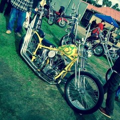 BANDIT wheeled snake bandido outlaw biker chopper frame gas tank vintage