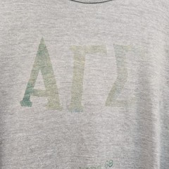 VTG Russell Southern T-Shirt Mens M Gray Alpha Gamma Sigma Spring Weekend 69 60s