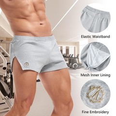 AMY COULEE Mens 3 Inch Cotton Gym Shorts Bodybuilding Lifting Small, Gray