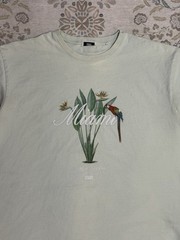 Kith Miami Design District Exclusive Macaw Tee Mint Green Size XL