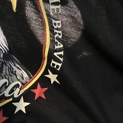 Land of The Free Home Of The Brave USA Eagle Large Black T shirt Lightweight