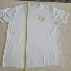 The AGGIES Spirit Mistry Machine XL Texas A&M University Comfort Colors