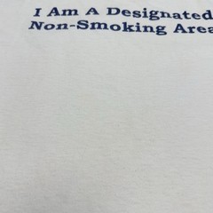 Vintage Funny “I am a designated Non Smoking Area’ T Shirt Mens XL Y2K