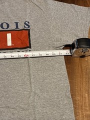 Classic University of Illinois Gray Large T-Shirt Delta Pro Weight Sz L Large