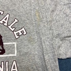 Aeropostale T-Shirt Mens XL Heather Gray California Bear Logo Everyday Wear
