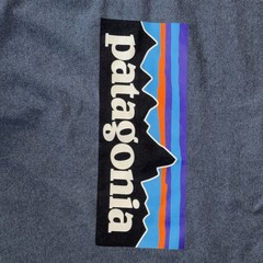 Patagonia Men’s Blue Short Sleeve Crew Neck Graphic Logo Back Of Tee XL