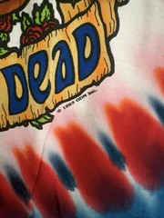Vintage 1993 Grateful Dead Revolutionary Dead Mike Dubois Liquid Blue XL