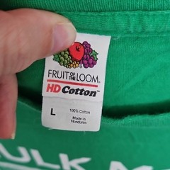 Fruit of the Loom Hulk Mode On Men’s T-Shirt in Green Size L