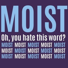 Moist – Funny Sarcastic Offensive Sayings T-Shirt