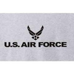 AIR FORCE USAF TEE PHYSICAL TRAINING T-SHIRT SPORT GREY