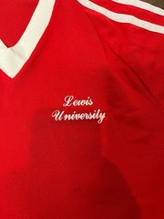 Vintage 70’s-80’s Lewis University Red Single Stitch Sports Jersey USA Made Sz M