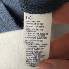 American Eagle Y2K Vintage Fit Graphic Thermal Distressed Varsity Applique L