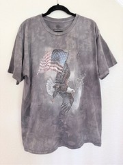 Vintage-Style The Mountain Bald Eagle American Flag Tie Dye T-Shirt Gray XL
