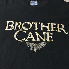 Vintage 90s Hanes Brother Cane Band Shirt Size Large (Fits Smaller)