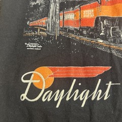 Daylight Sales Trains Authentic Railroad Clothing T-Shirt Youth L Glow In The D