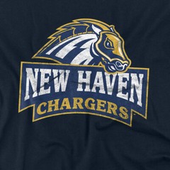 University of New Haven Adult T-Shirt Distressed Primary, Navy, S-5XL