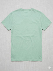 Men’s Mint Green Slim Fit T-Shirt Crew Neck Short Sleeve Casual Cotton Blend