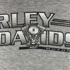 Harley-Davidson El Paso, Tx Barnett Light Gray Long Sleeve Logo Shirt. D1