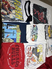 Vintage T Shirt Lot of 11 Tees Bundle Reseller USA Y2K 90s Mixed Lot Pop Culture