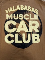 Valabasas Firebird Vintage Khaki Graphic T-Shirt Worn to Inspire
