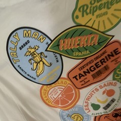 American Eagle Standard Fit White Sunbelt Fruit Company Graphic T-Shirt L