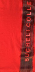 Men’s Bucheli Cotton T Shirt,Italian Style,Slim Fit,Stretch S M…..A16.A