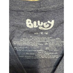 Bluey Family Graphic T-Shirt Mens Medium Blue Heather Short Sleeve Crewneck Tee