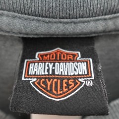 Harley Davidson Shirt Adult 2XL XXL Gray Motorcycle Eagle Birmingham AL Men’s
