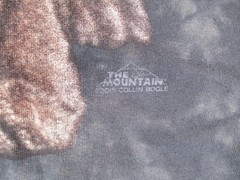 The Mountain Cougar Mountain Lion Blue Tie Dye T Shirt XL Colin Bogle Art Y2K