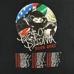 Peso Pluma Tour 2023 Black Graphic T-Shirt Mens XL Corridos Tumbados Concert Tee