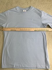 Champion Mens Crew Neck Baby Blue Short Sleeve Cotton Logo T-shirt Medium