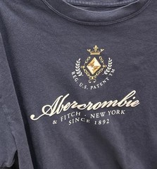 Women’s Abercrombie & FItch Cropped Crest Logo Tee Boxy Y2K Inspired Preppy M