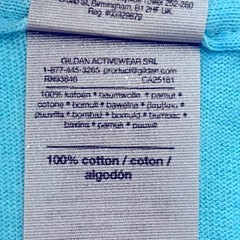 Gildan Fiesta San Antonio Short Sleeve Graphic T Shirt Mens Large Blue NWOT