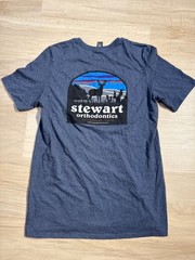 District Heathered Blue Graphic T-Shirt – StewartOrtho Design