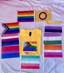 LGBTQ+ T-Shirt (Small) + 9 Pride Flags Bundle