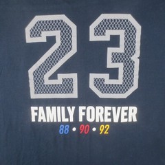 Nike Air Jordan T Shirt Mens L Navy Jumpman 23 Family Forever Graphic Retro 90s