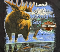 Fairbanks Alaska Harley Davidson T-Shirt XL Vintage 90’s USA Made North Outpost