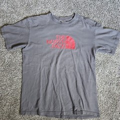 The North Face Size Medium Gray and Red Short Sleeve Shirt – Graphic is Cracking