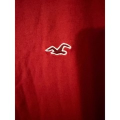 Hollister Men’s L Must-Have Collection Red Cotton Crew Neck Logo T-Shirt 0734