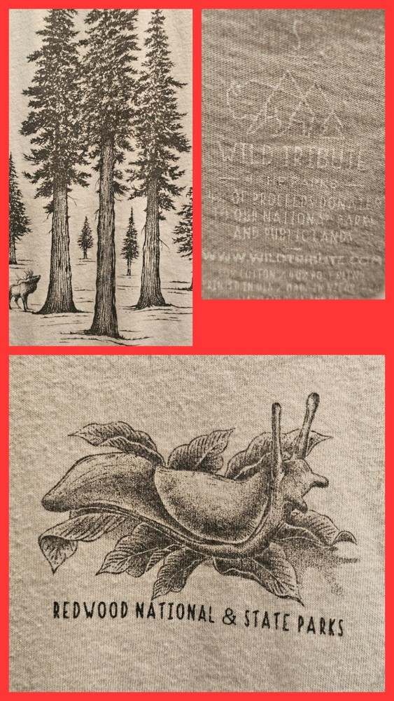 Redwood National Park Wild Tribute Shirt Slug Tree Short Sleeve Outdoor Uni Sm