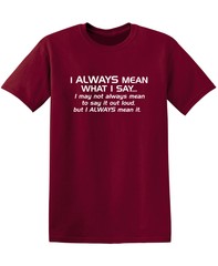 I Always Mean What I Say…I May Sarcastic Humor Graphic Novelty Funny T Shirt
