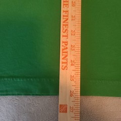 Apple Mens Medium Green IT AI Shirt