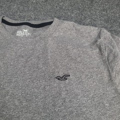 Hollister Shirt Mens Medium Gray Heather Must Have Collection California Tee 72
