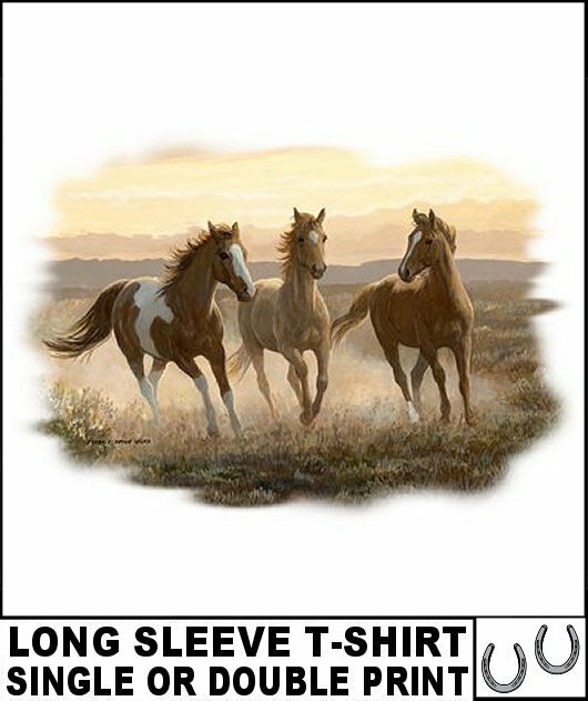 BEAUTIFUL WILD PAINT MUSTANG QUARTER HORSE PONY LONG SLEEVE T-SHIRT AB357